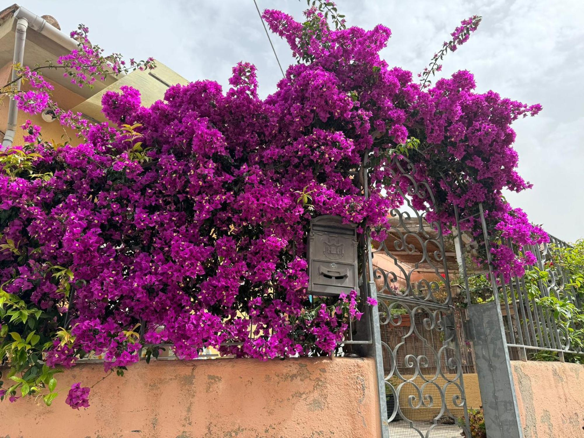 Villino Norsi Daire Portoferraio Dış mekan fotoğraf