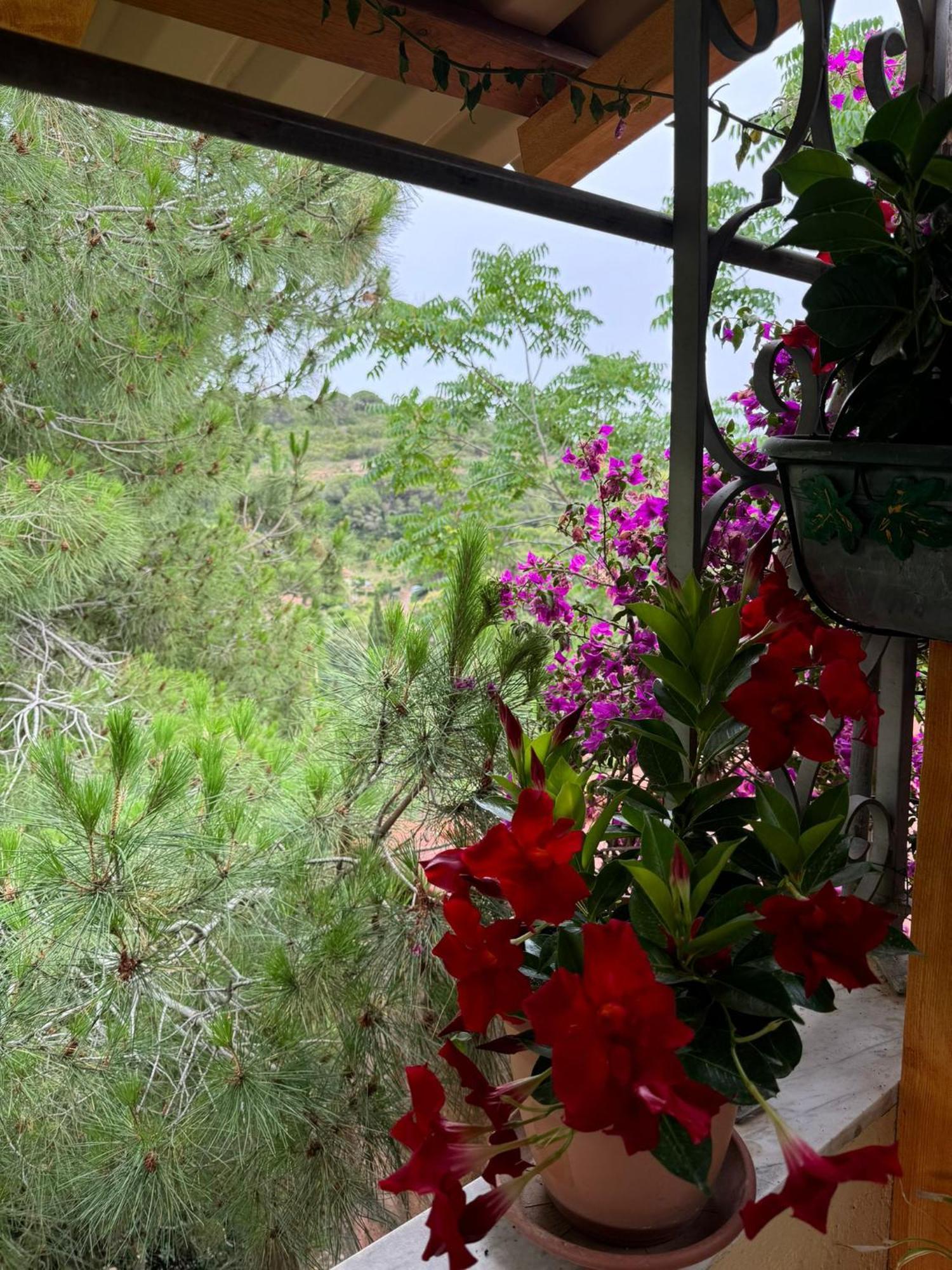 Villino Norsi Daire Portoferraio Dış mekan fotoğraf