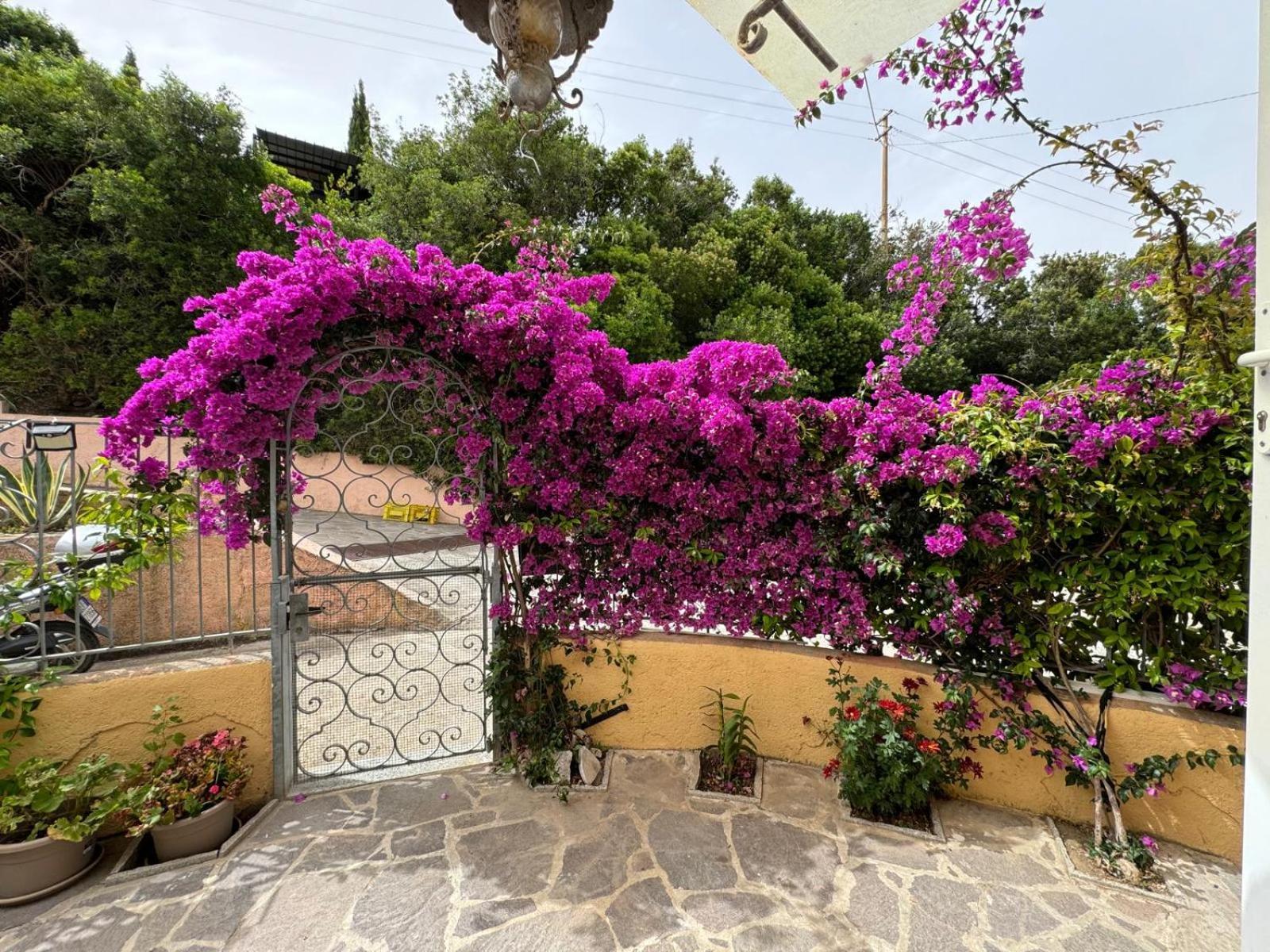 Villino Norsi Daire Portoferraio Dış mekan fotoğraf
